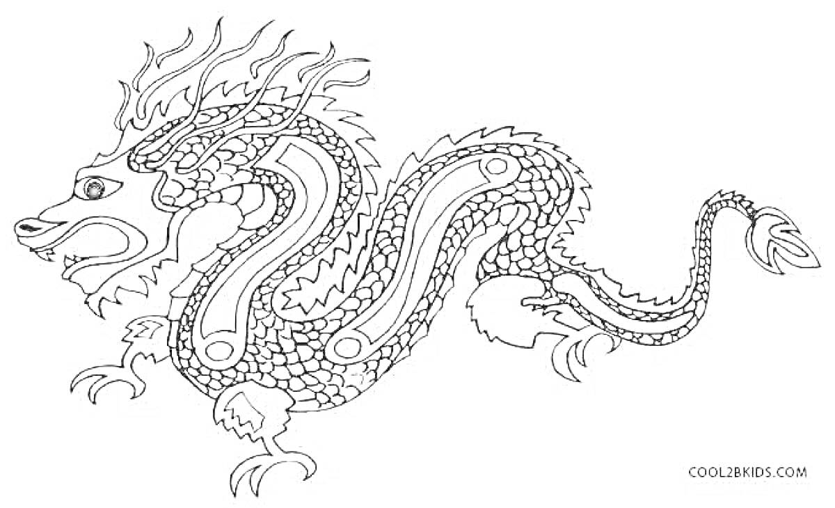 Раскраска Китайский дракон с чешуйчатым телом, лапами с когтями и детализированной головой