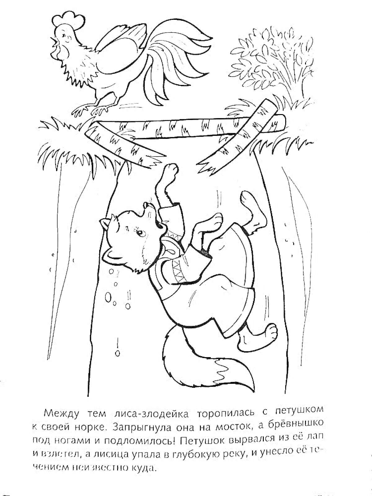 На раскраске изображено: Кот, Петух, Лиса, Мост, Река, Падение, Животные, Иллюстрация