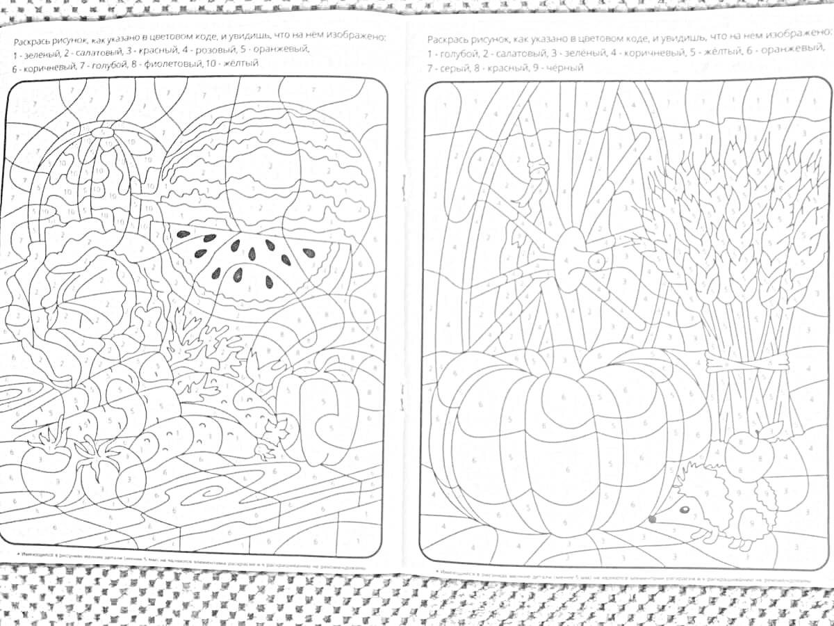 На раскраске изображено: Арбуз, Листья, Корзина, Цветы, Паутина, Пшеница, Мышь, Осень