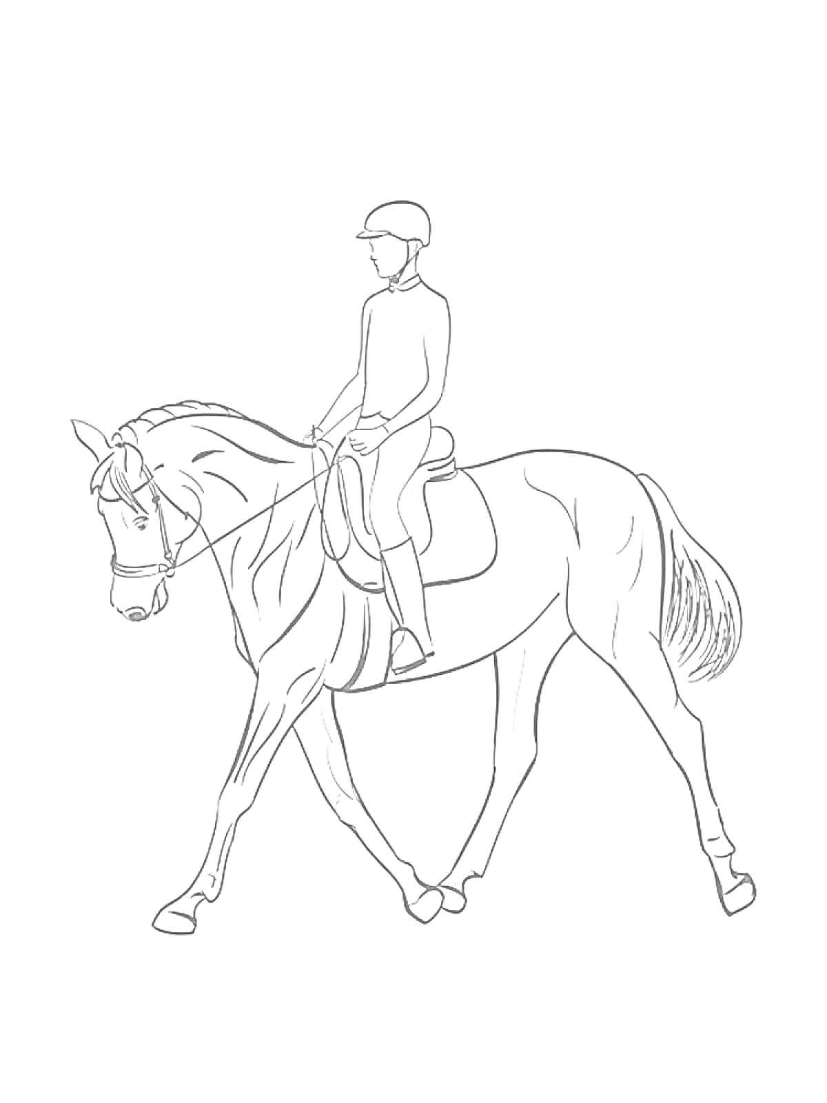 Раскраска Всадник верхом на лошади, в защитном шлеме и спортивной одежде