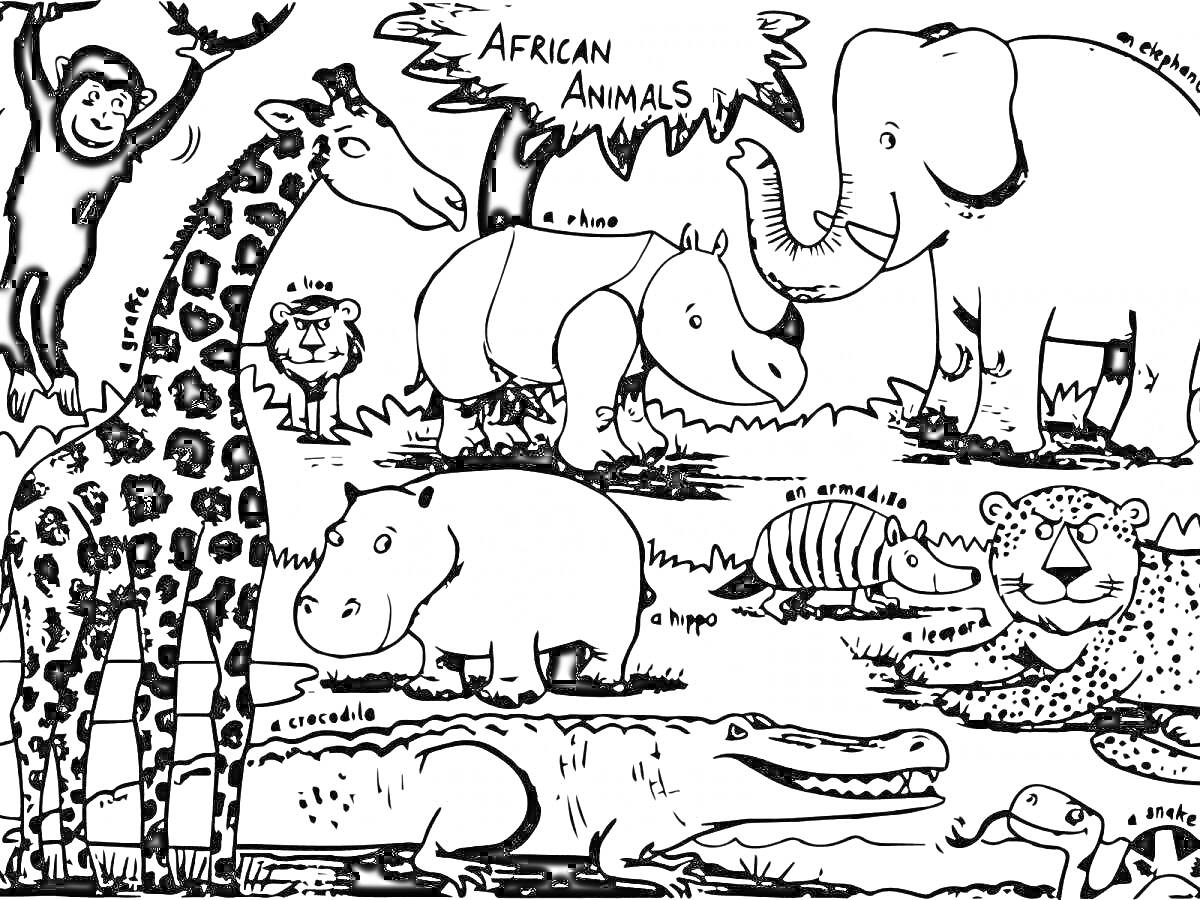 На раскраске изображено: Африканские животные, Носорог, Слон, Лев, Бегемот, Броненосец, Крокодил, Гепард