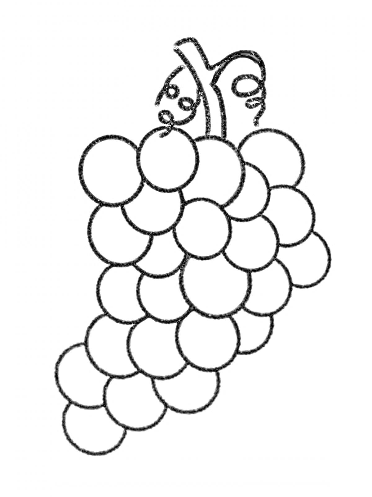 Раскраска Гроздь винограда с листьями