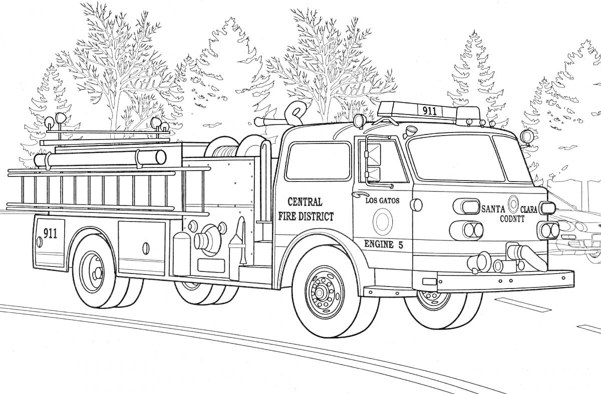 На раскраске изображено: Пожарная машина, Лес, Деревья, Пожарный автомобиль, Пожарная служба