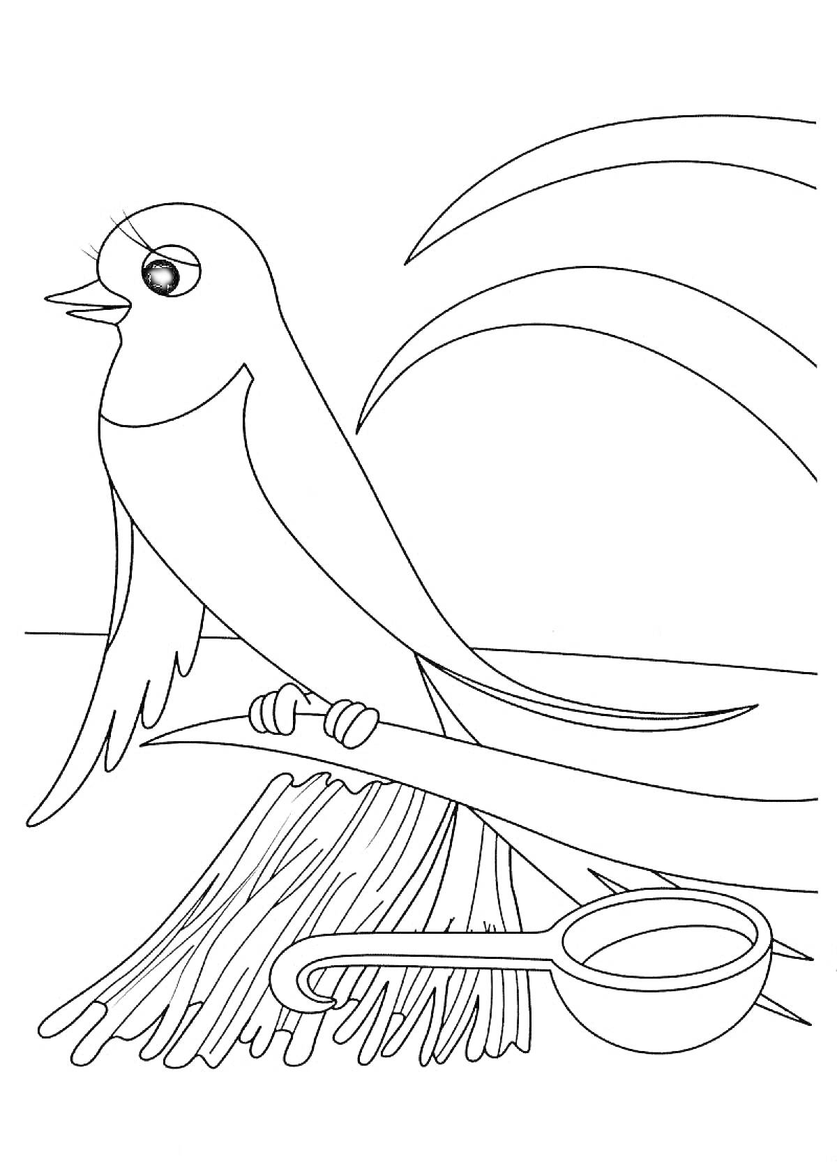 Раскраска Ласточка на ветке над гнездом с веточками и круглой кормушкой