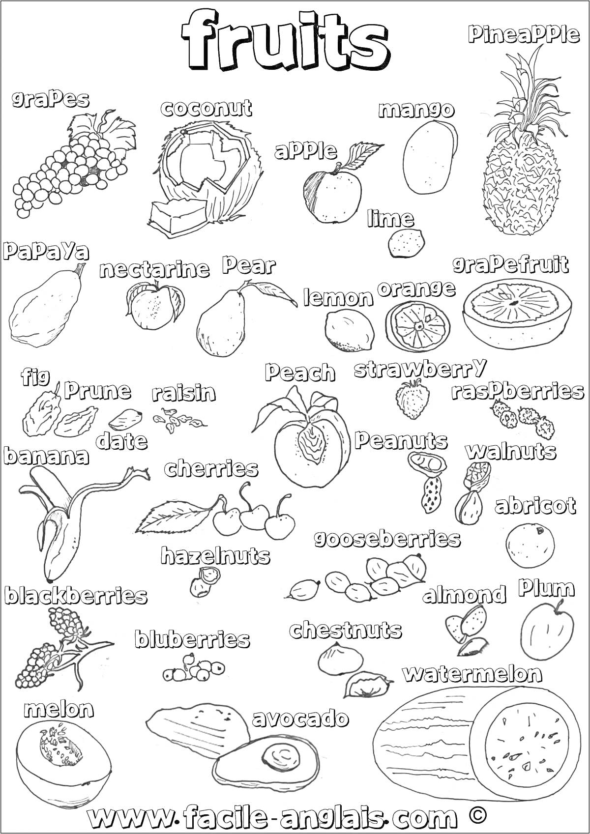 На раскраске изображено: Фрукты, Обучающие, Яблоко, Кокос, Манго, Ананас, Папайя, Лайм, Грейпфрут, Инжир, Слива, Изюм, Клубника, Малина, Банан, Финики, Лимон, Апельсин, Арбуз, Авокадо, Дыня, Фундук, Ежевика, Черника, Смородина, Каштаны