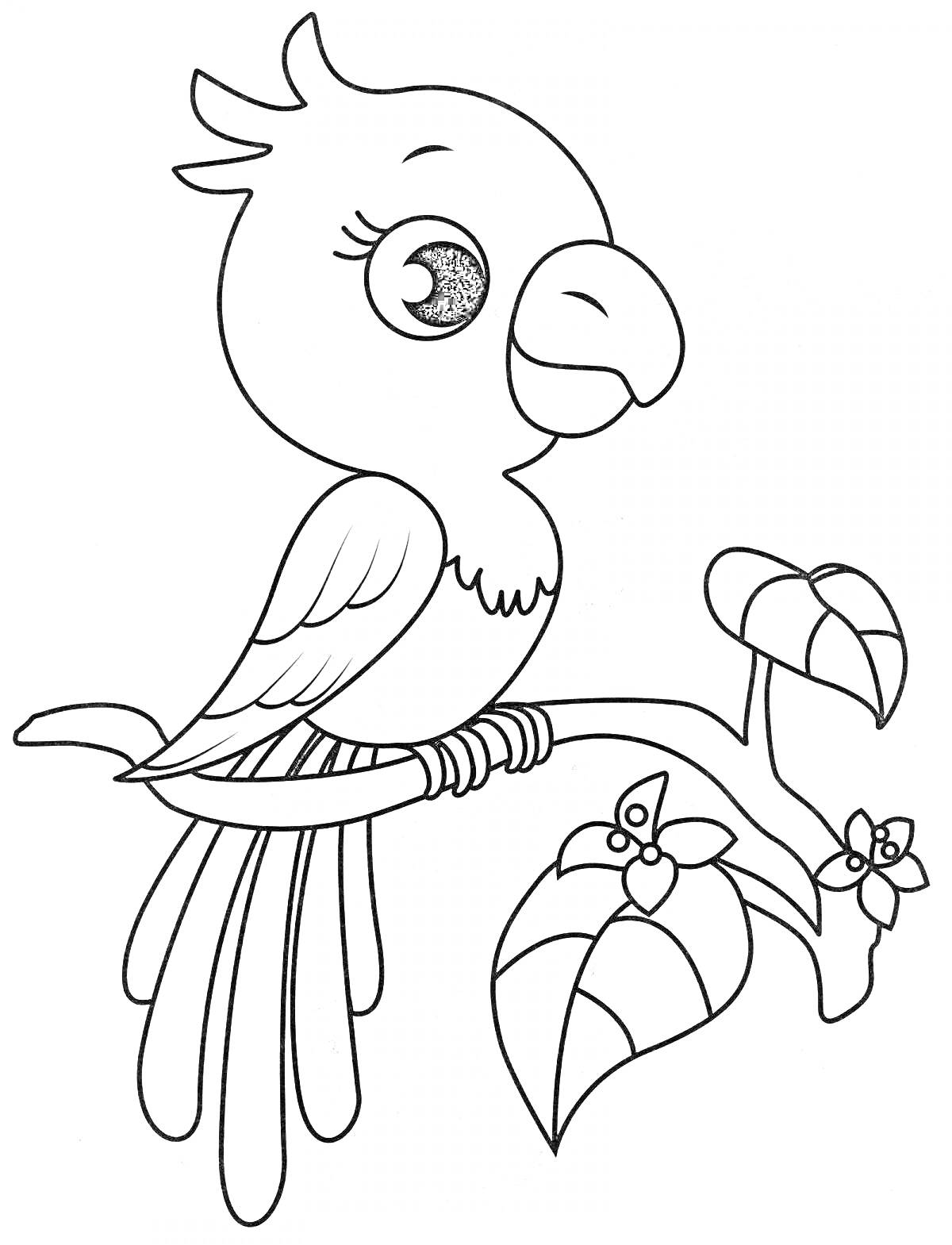 Раскраска Попугай на ветке с листьями и цветами