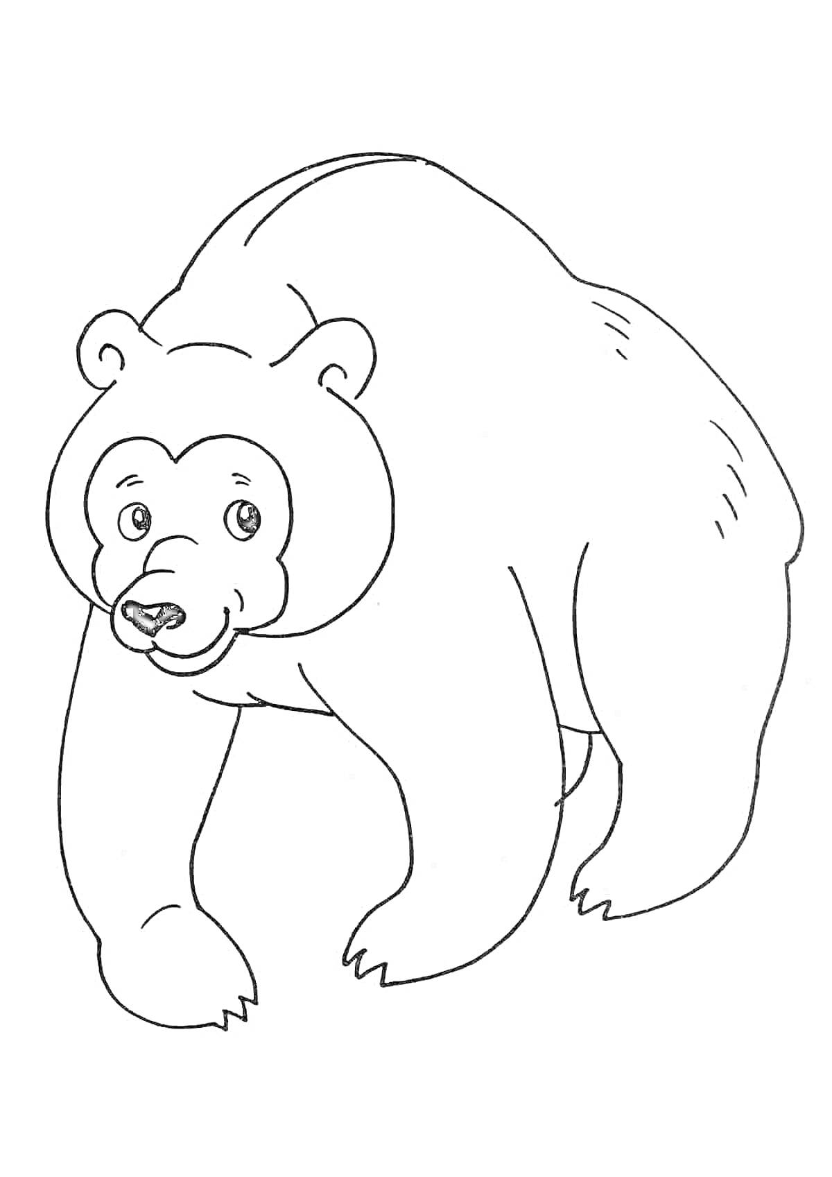 На раскраске изображено: Медведь, Для детей, 6 лет, 7 лет, Лес, Природа
