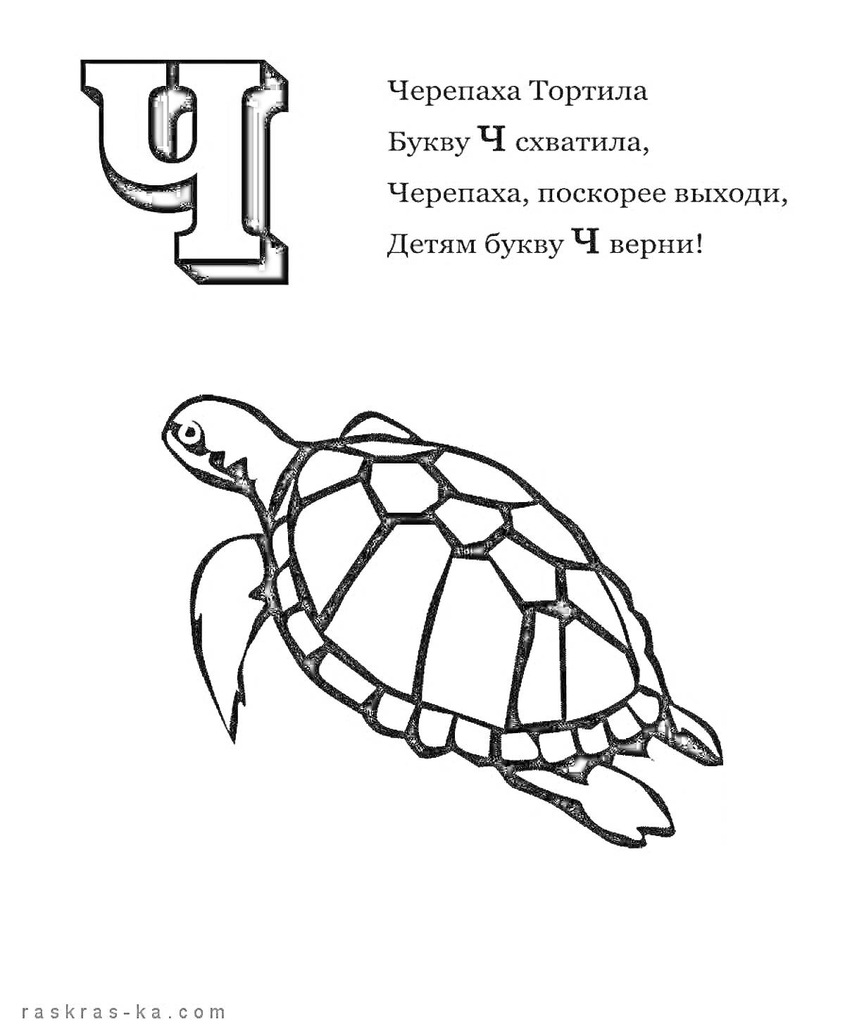 Раскраска Ч - Черепаха Тортилла