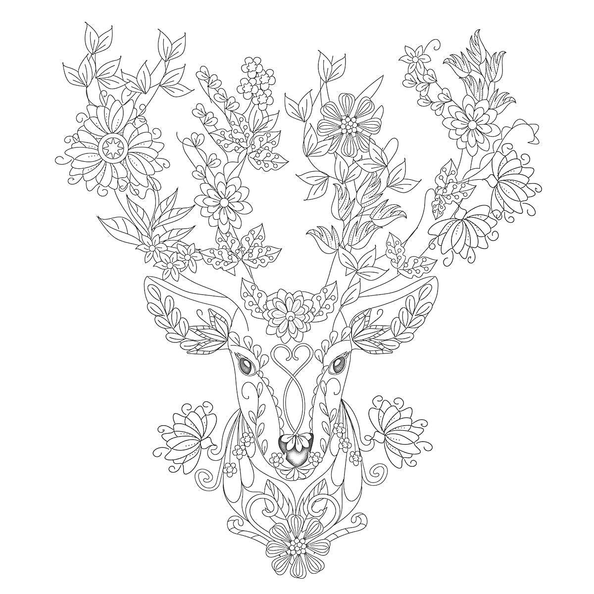 Раскраска олень с цветочными рогами, декоративные элементы с листьями и цветами