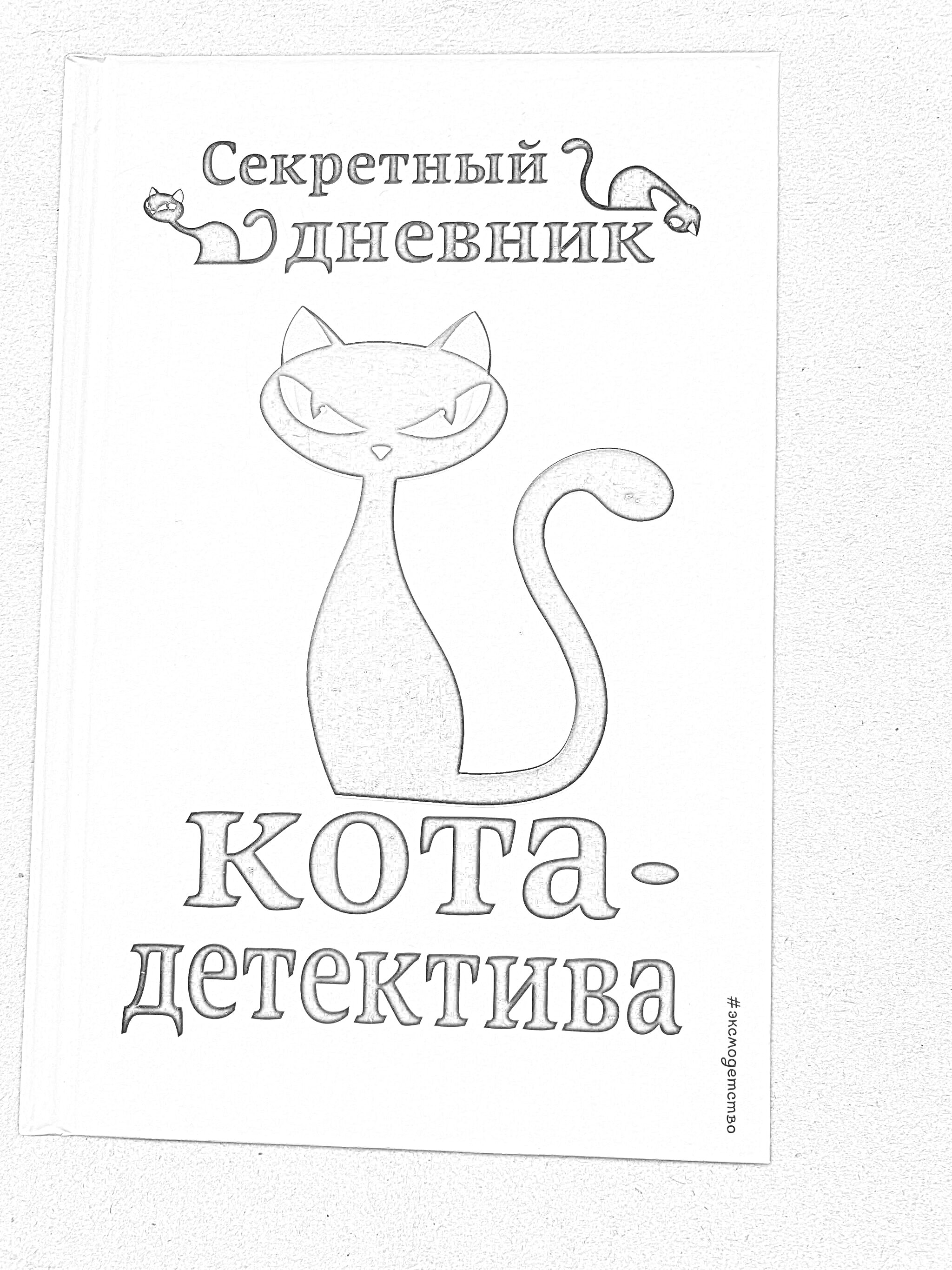 На раскраске изображено: Кот, Детектив, Черный кот, Приключения, Дневник, Книга