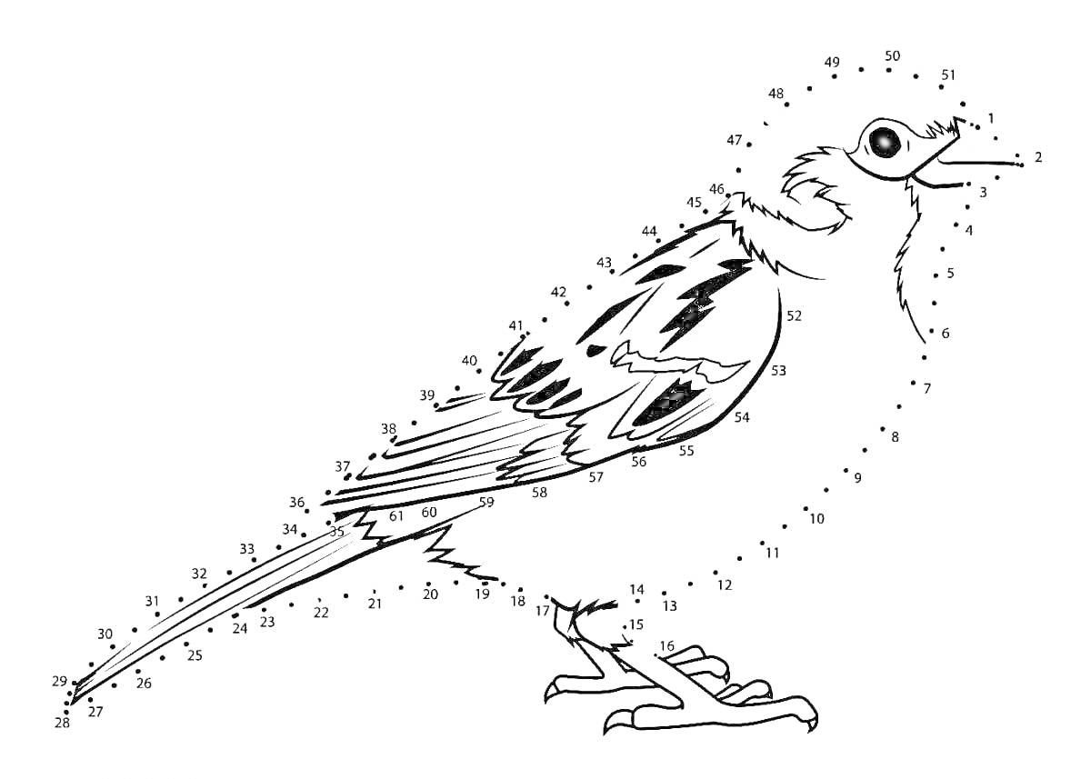 Раскраска Воробей, соединение точек от 1 до 46, детальная раскраска птицы