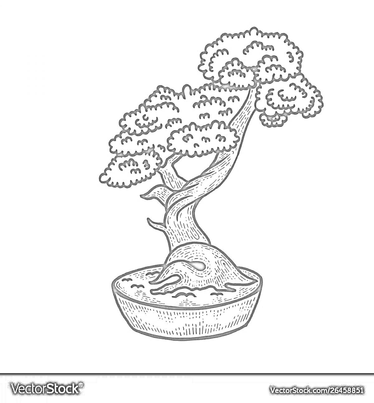 Раскраска Бонсай в горшке, стилизованное дерево с множеством ветвей.