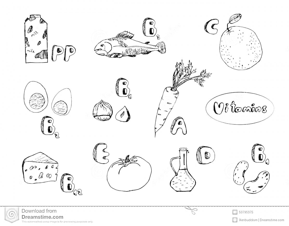 Раскраска Витамины и продукты с их содержанием (молоко, рыба, апельсин, яйца, орехи, морковь, сыр, помидор, масло, фасоль)