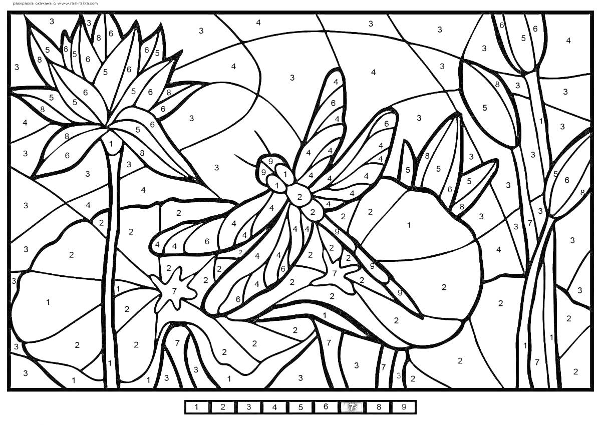 Раскраска Стрекоза на водяной лилии