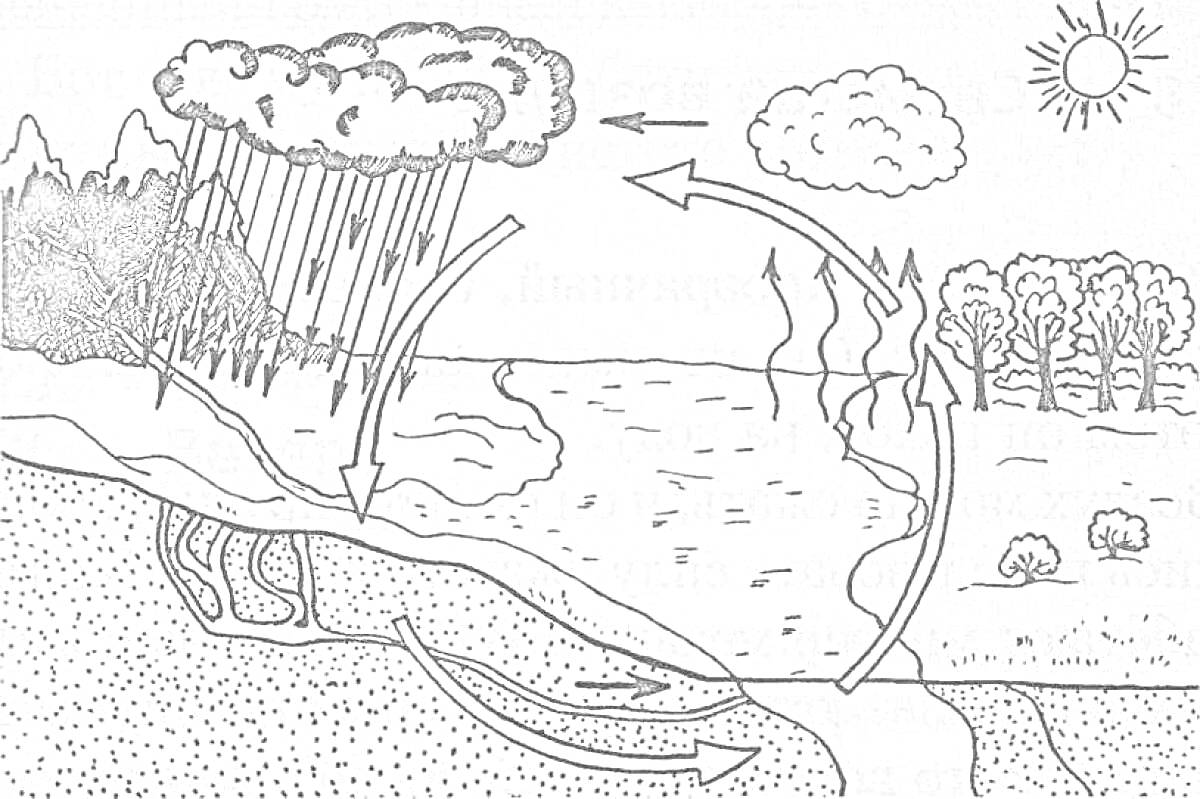 круговорот воды в природе с дождём, озером, рекой, деревьями, подземными водами, облаками и солнцем