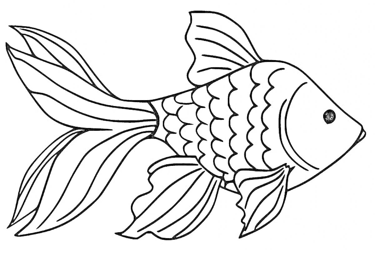 Раскраска Рыбка с плавниками, хвостом и чешуёй
