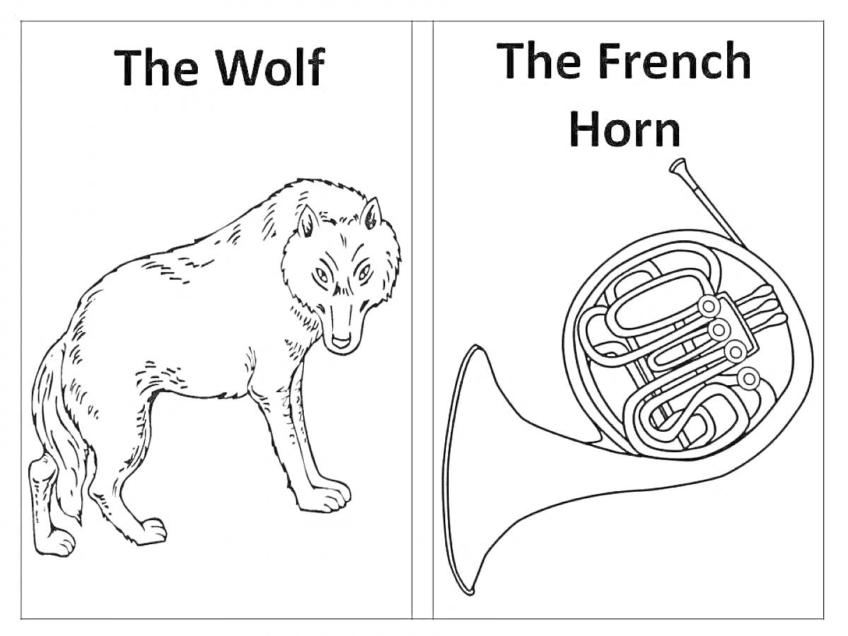 Раскраска волк и валторна из сказки 