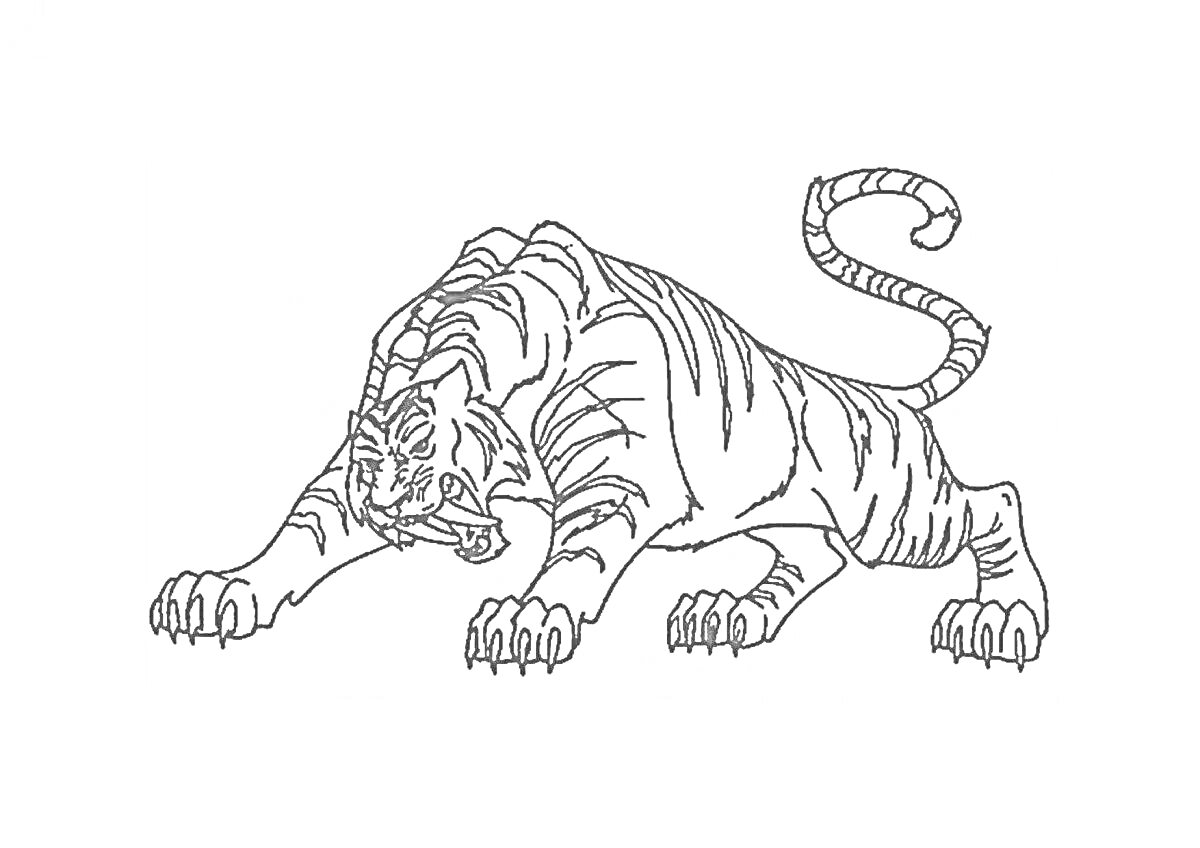 На раскраске изображено: Саблезубый тигр, Атака, Древнее животное