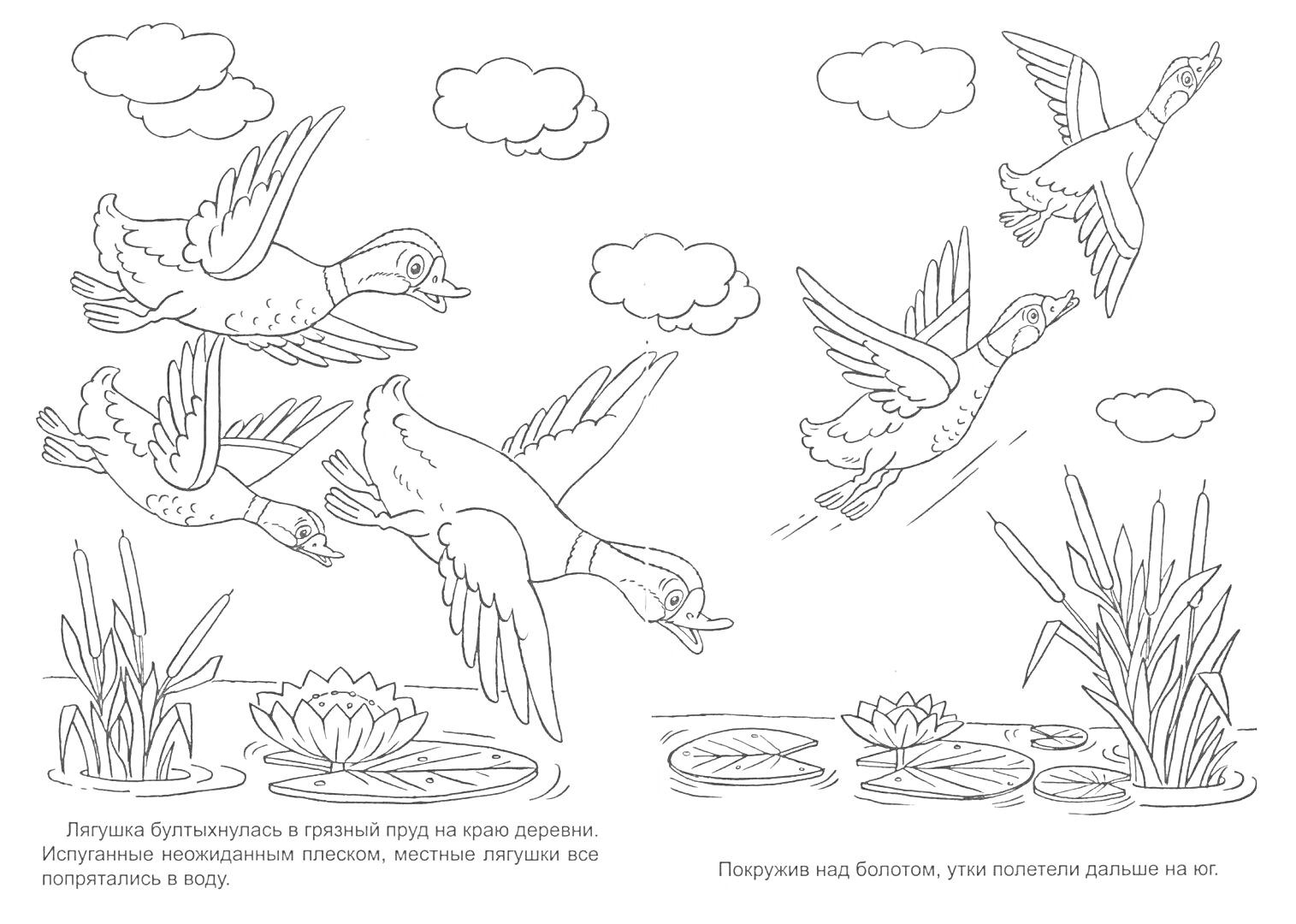 Раскраска Лягушка путешественница летит на утках; утки летят над прудом с водяными лилиями; вверху облака; внизу камыши и водяные лилии