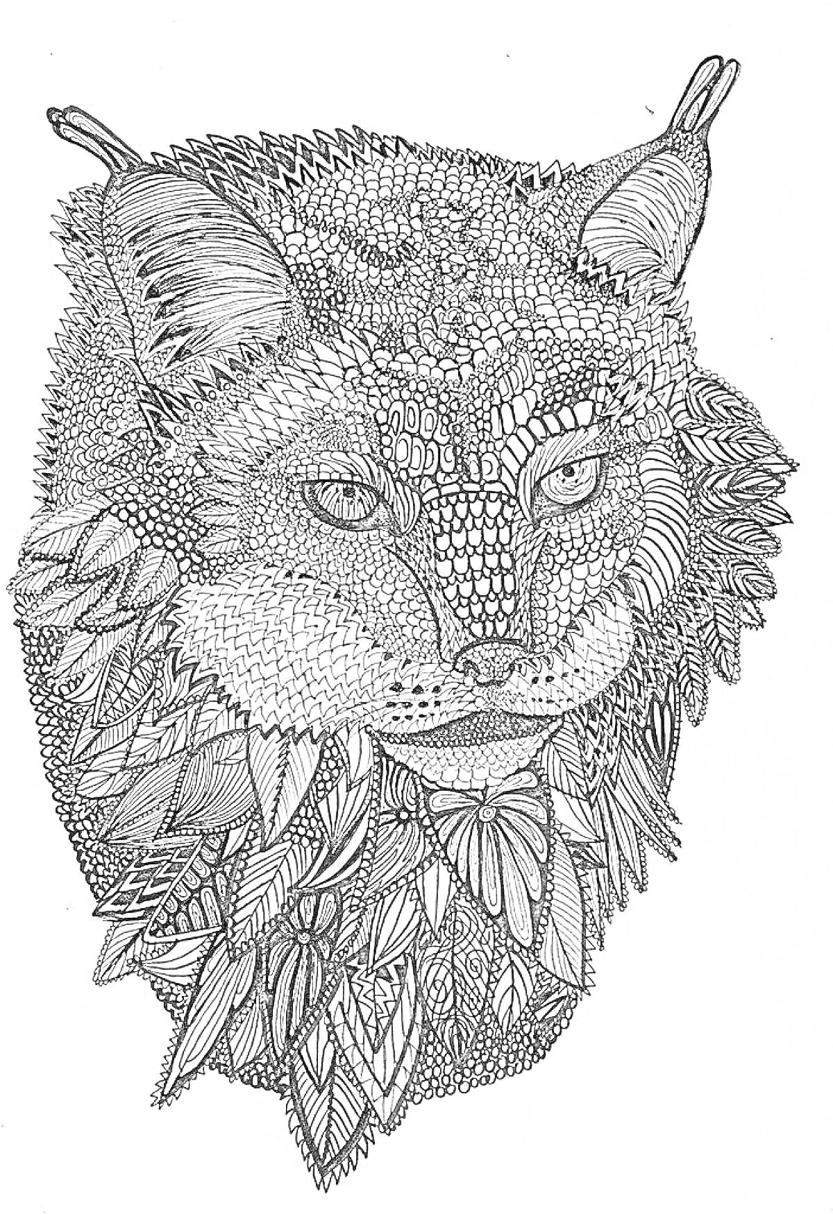 Раскраска Портрет рыси с текстурными узорами