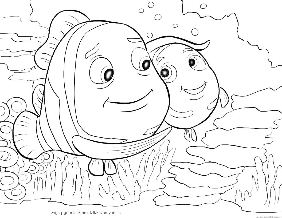 Раскраска Две рыбы-клоуна на фоне подводного мира с кораллами и пузырями.