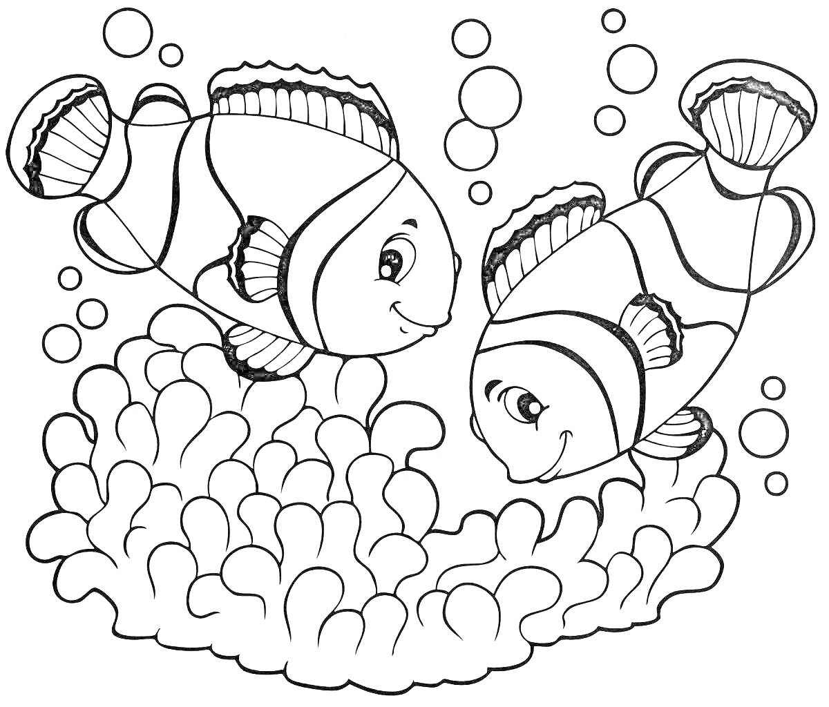 Раскраска Две рыбки-клоун среди водорослей с пузырьками