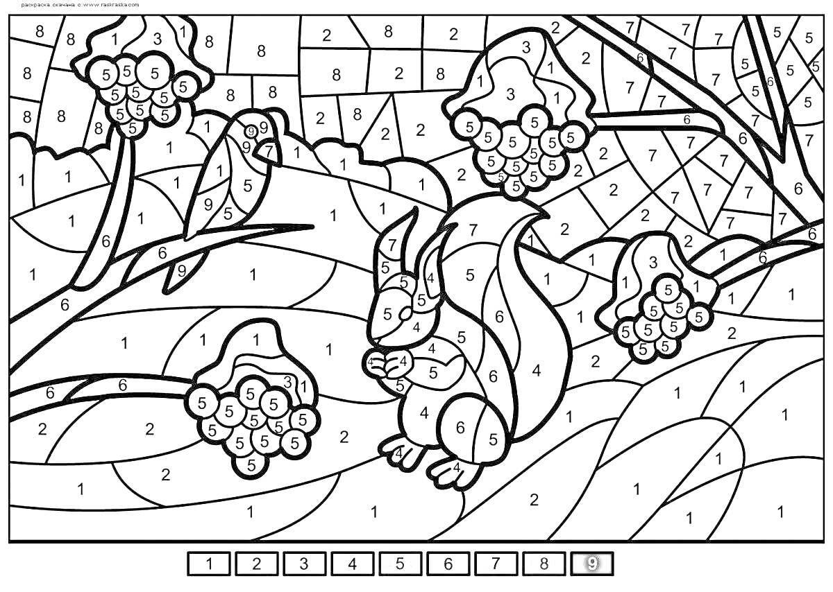 Раскраска по номерам с белками, ягодами и растительностью