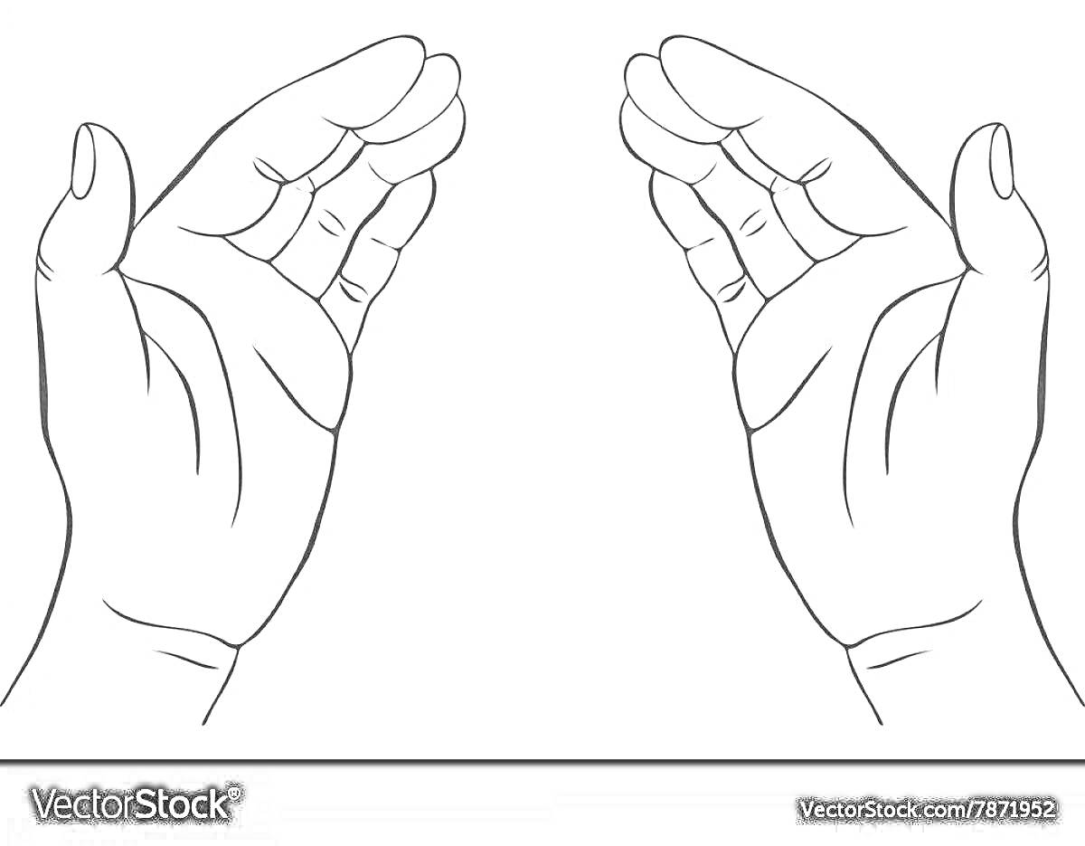 На раскраске изображено: Руки, Поднятые руки