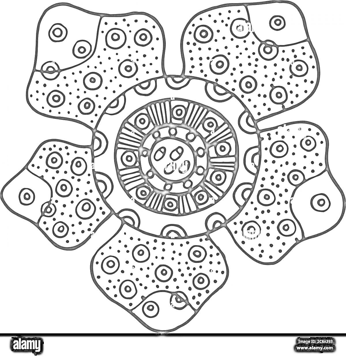 Раскраска Раскраска раффлезии Арнольда с круглыми и овальными узорами на лепестках и центр с геометрическим узором