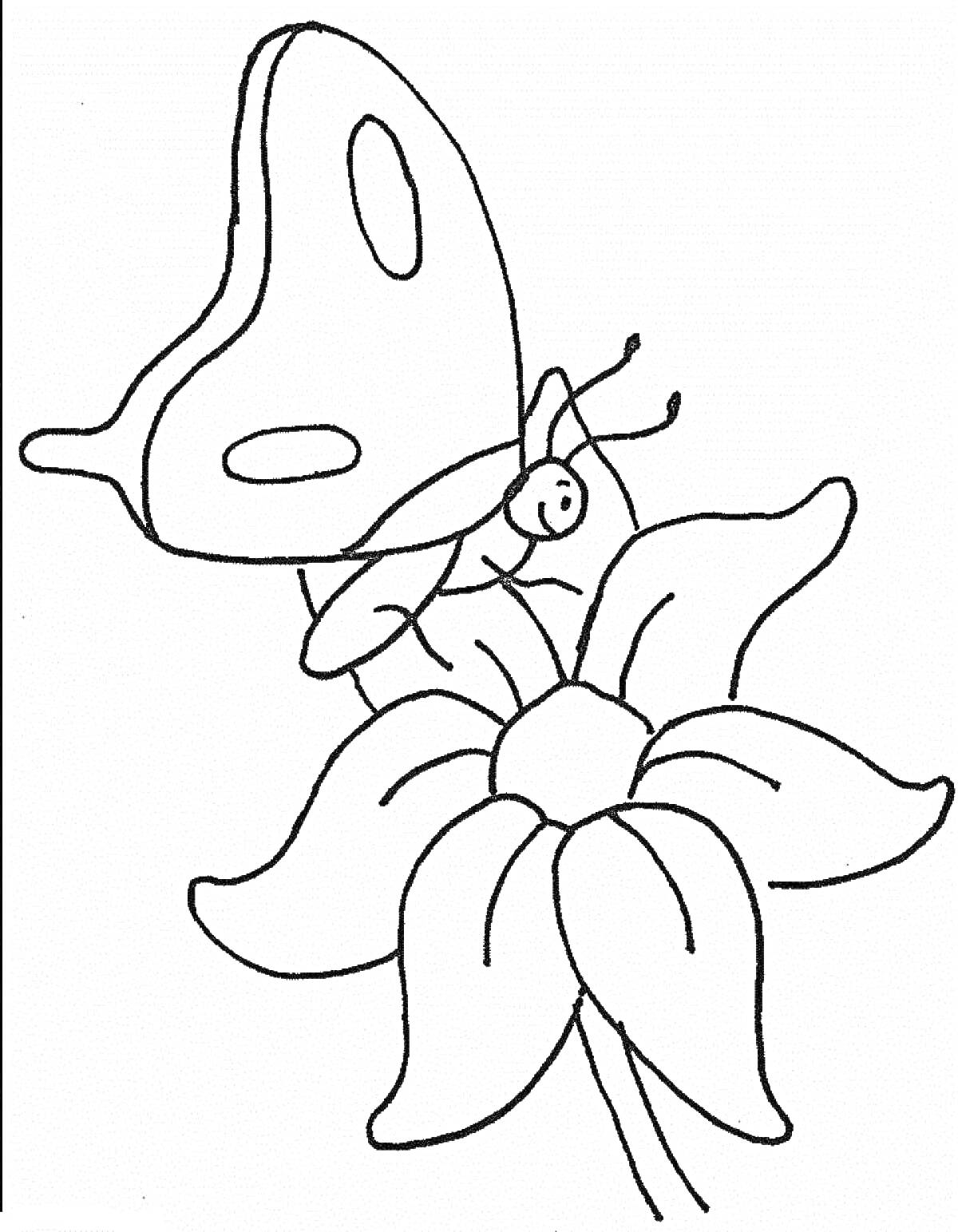 Раскраска Бабочка на цветке с узором на крыльях и распущенными лепестками