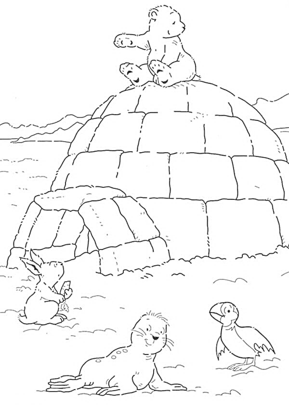 На раскраске изображено: Север, Иглу, Заяц, Тюлень, Тупик, Снег, Лед, Арктика, Белый медведь