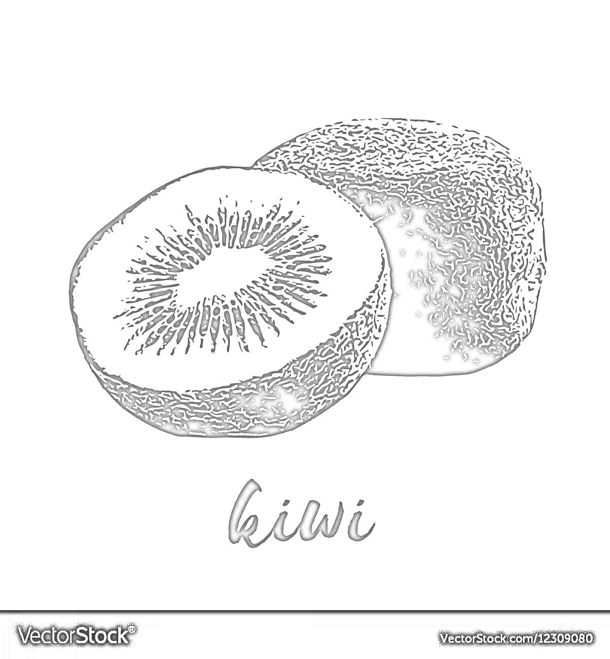 На раскраске изображено: Киви, Половинка, Целый, Разрезанный, Текст, Еда, Гравюра