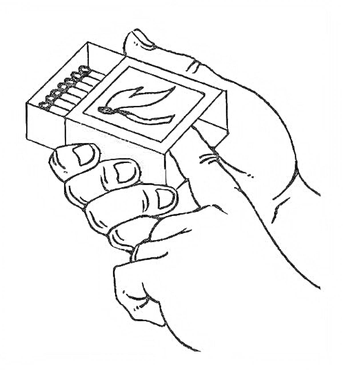 Раскраска Руки, держащие коробок спичек с изображением птицы