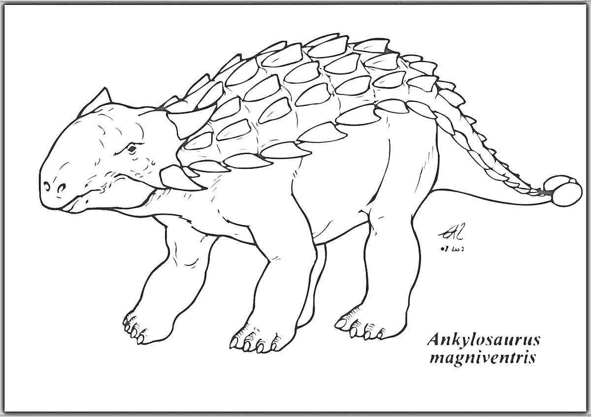 Раскраска анкилозавр magniventris с костяной броней и булавой на хвосте