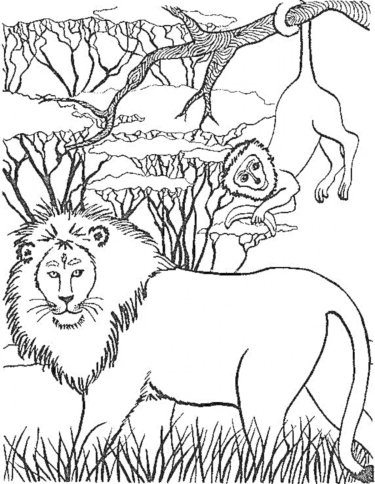 На раскраске изображено: Лев, Обезьяны, Ветка, Трава, Деревья, Животные