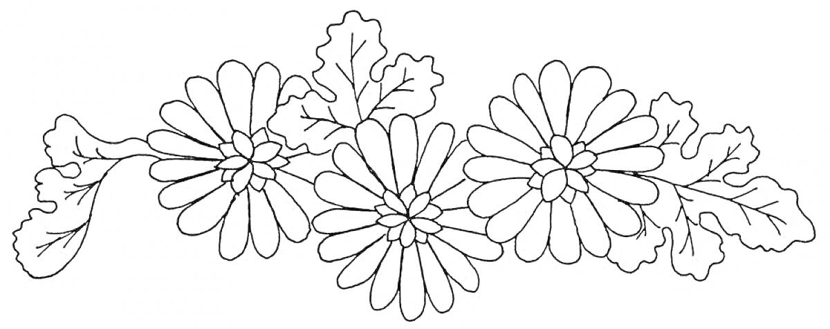 Раскраска Цветочный узор с тремя ромашками и листьями
