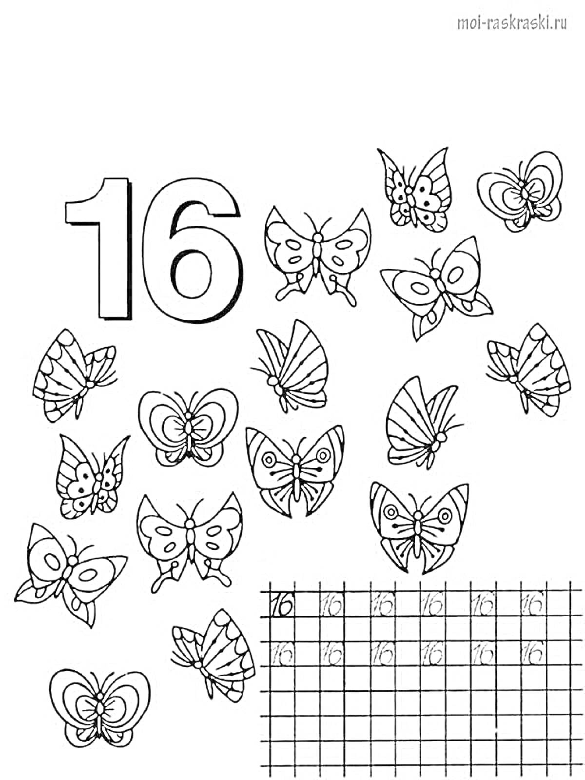 Раскраска Раскраска с числом 16 и бабочками