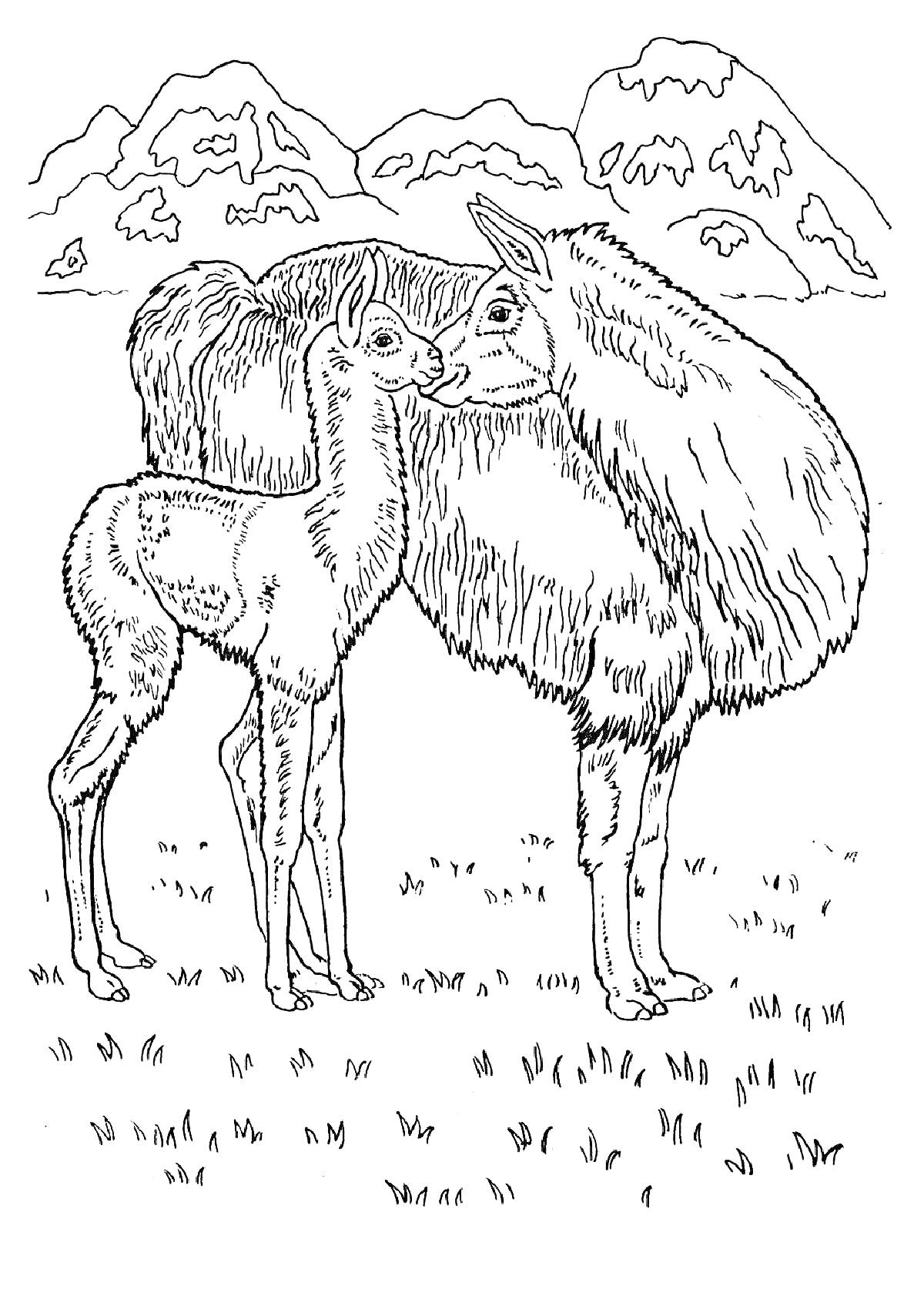 Раскраска Лама с детенышем на фоне гор