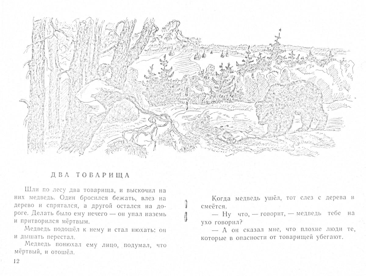 На раскраске изображено: Товарищи, Медведь, Лес, Природа, Рассказ