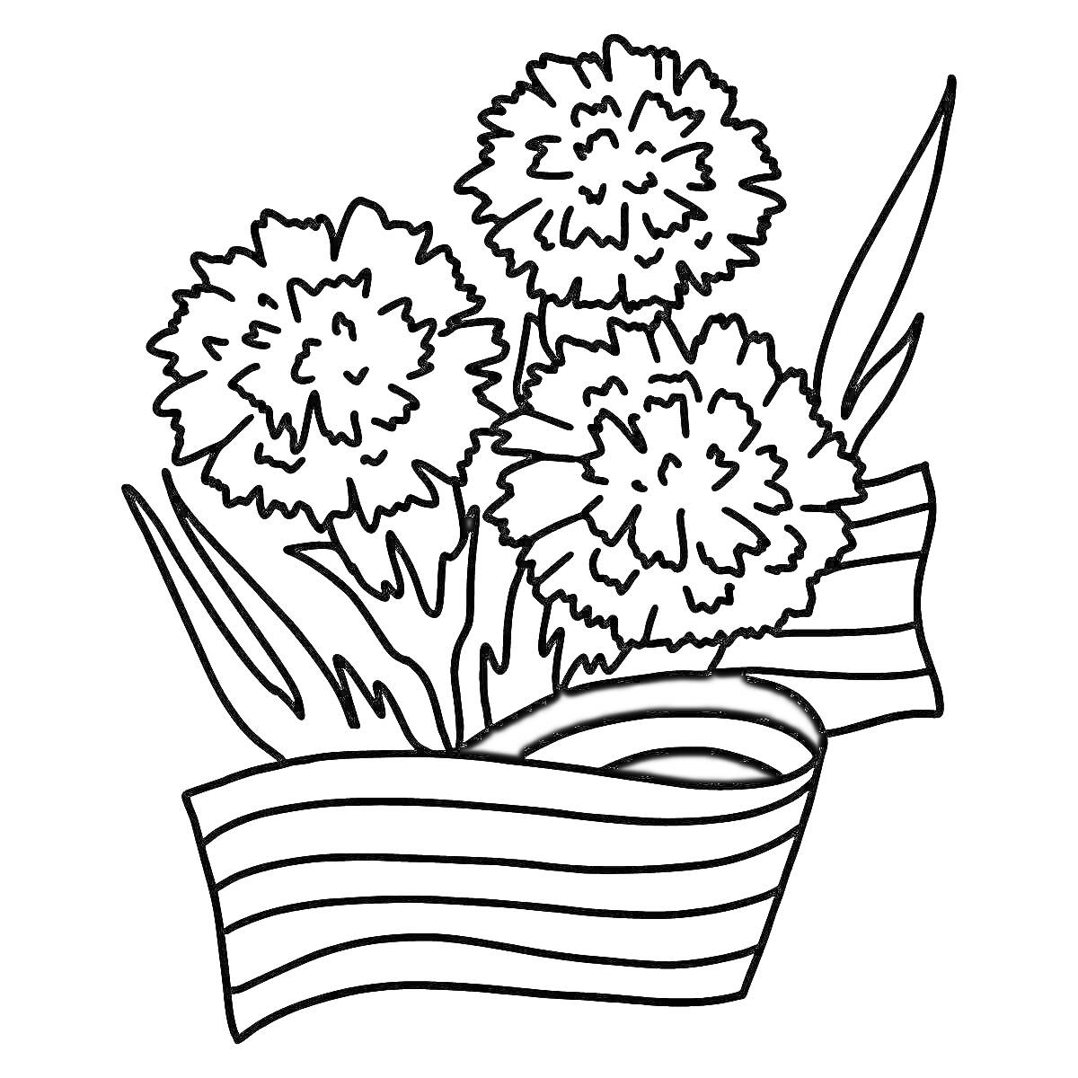 На раскраске изображено: Гвоздика, Цветы, Листья, Лента