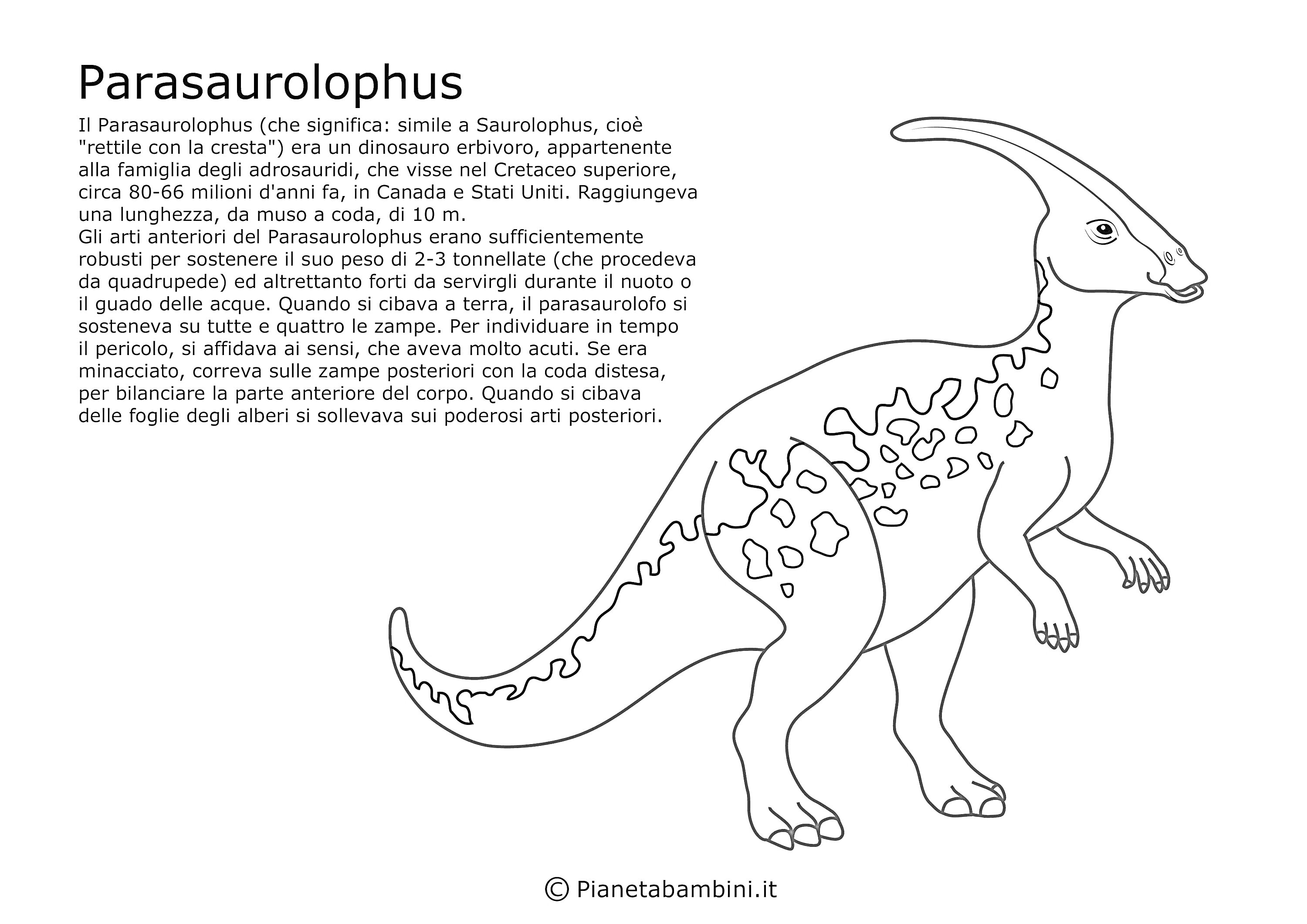 Раскраска Динозавр паразауролоф с текстом на итальянском языке и логотипом сайта внизу