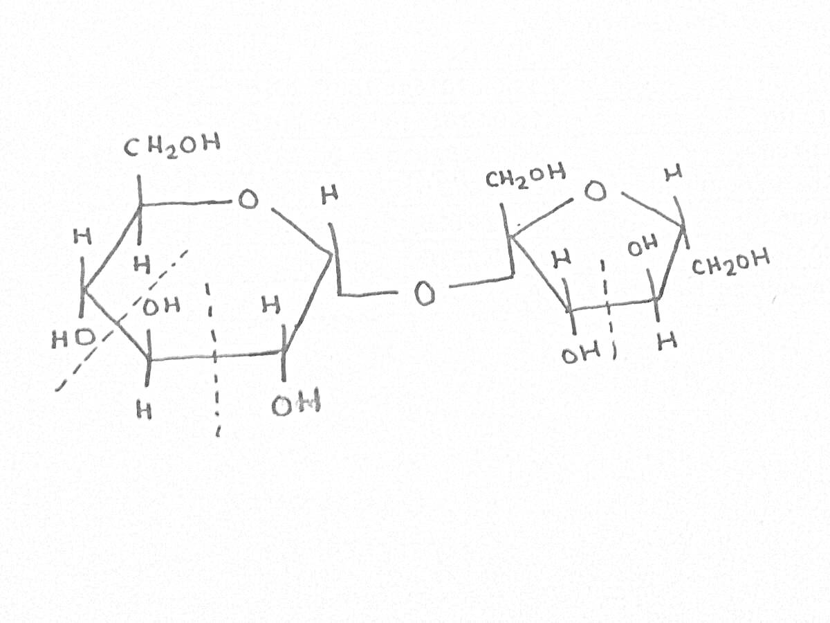 Структурная формула сахарозы с атомами углерода, водорода и кислорода