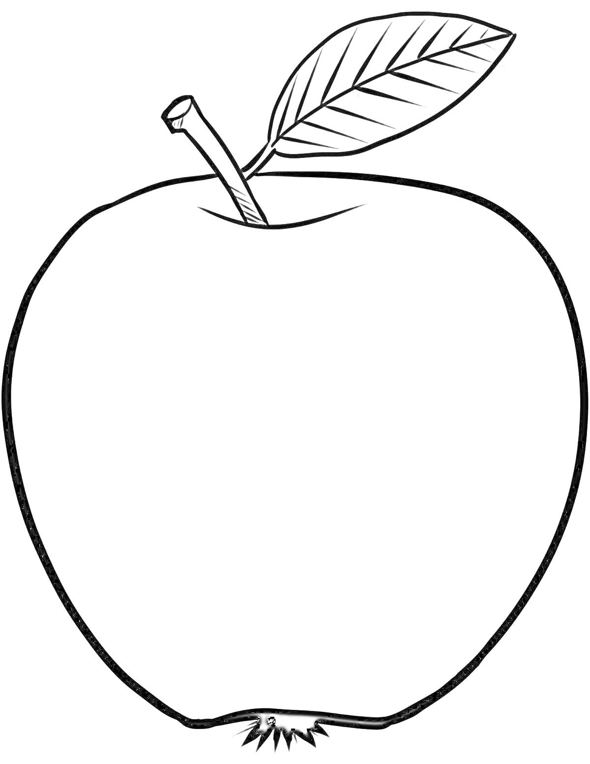 Яблоко с листочком и черенком