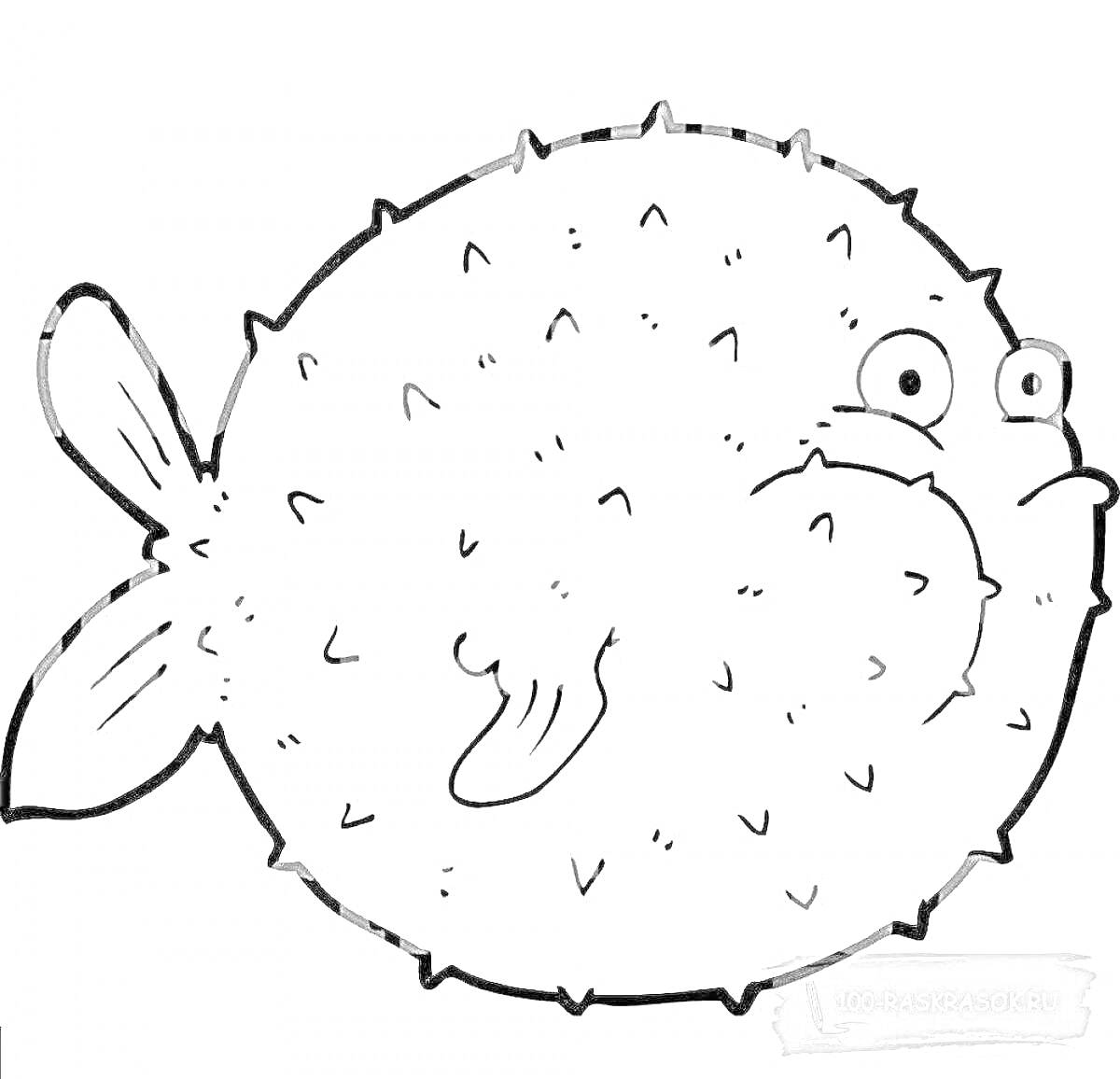 Раскраска Рыба-фугу с шипами, большими глазами и хвостом