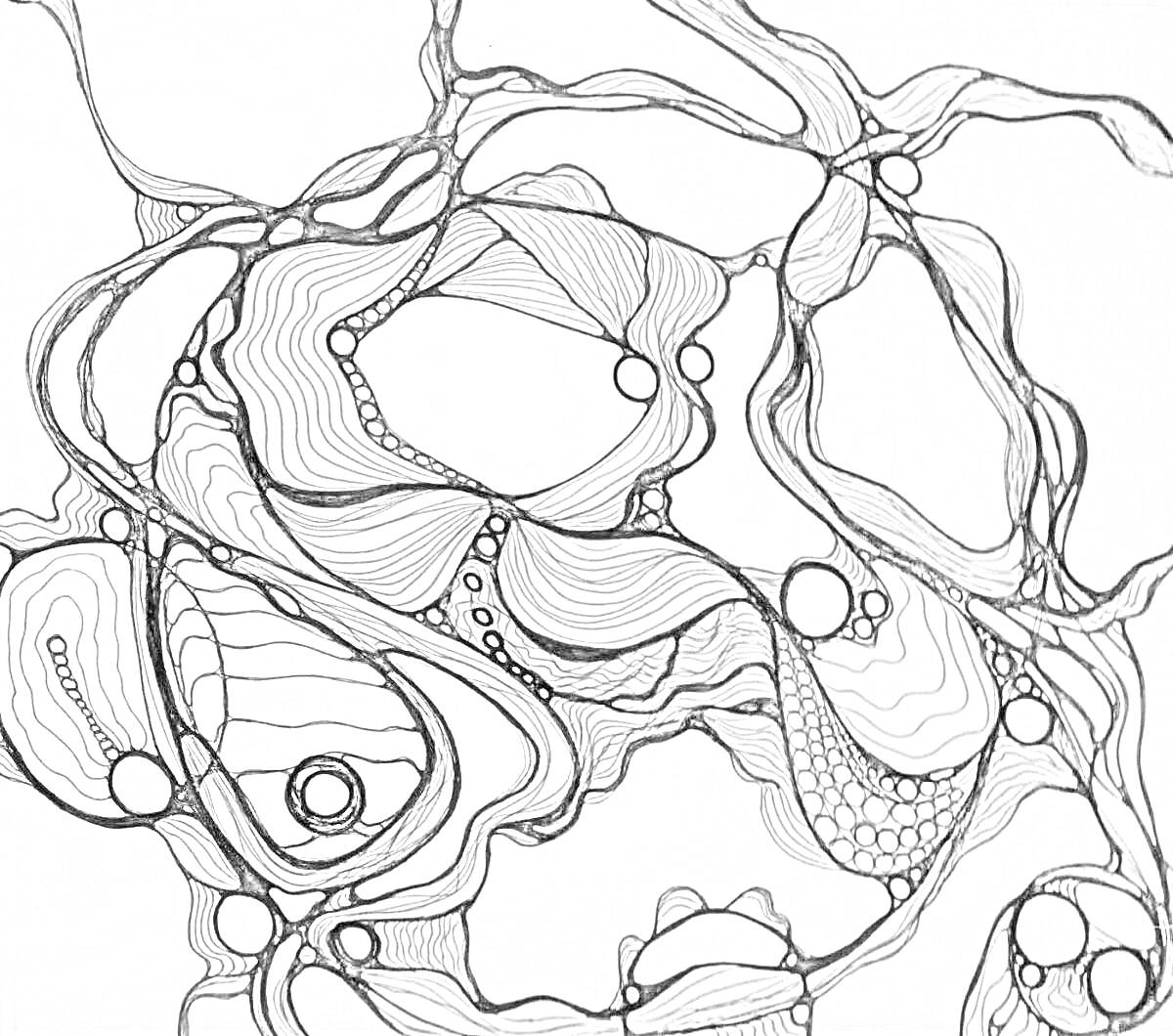 Раскраска нейрографика с плавными линиями, кругами и закругленными геометрическими фигурами