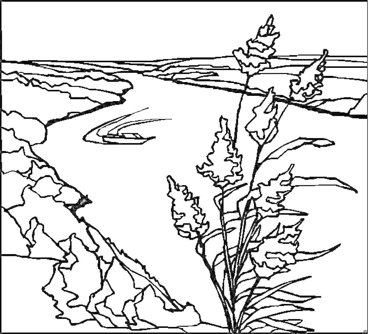 Раскраска Река в Сибири с лодкой, берега рек и высокая трава на переднем плане