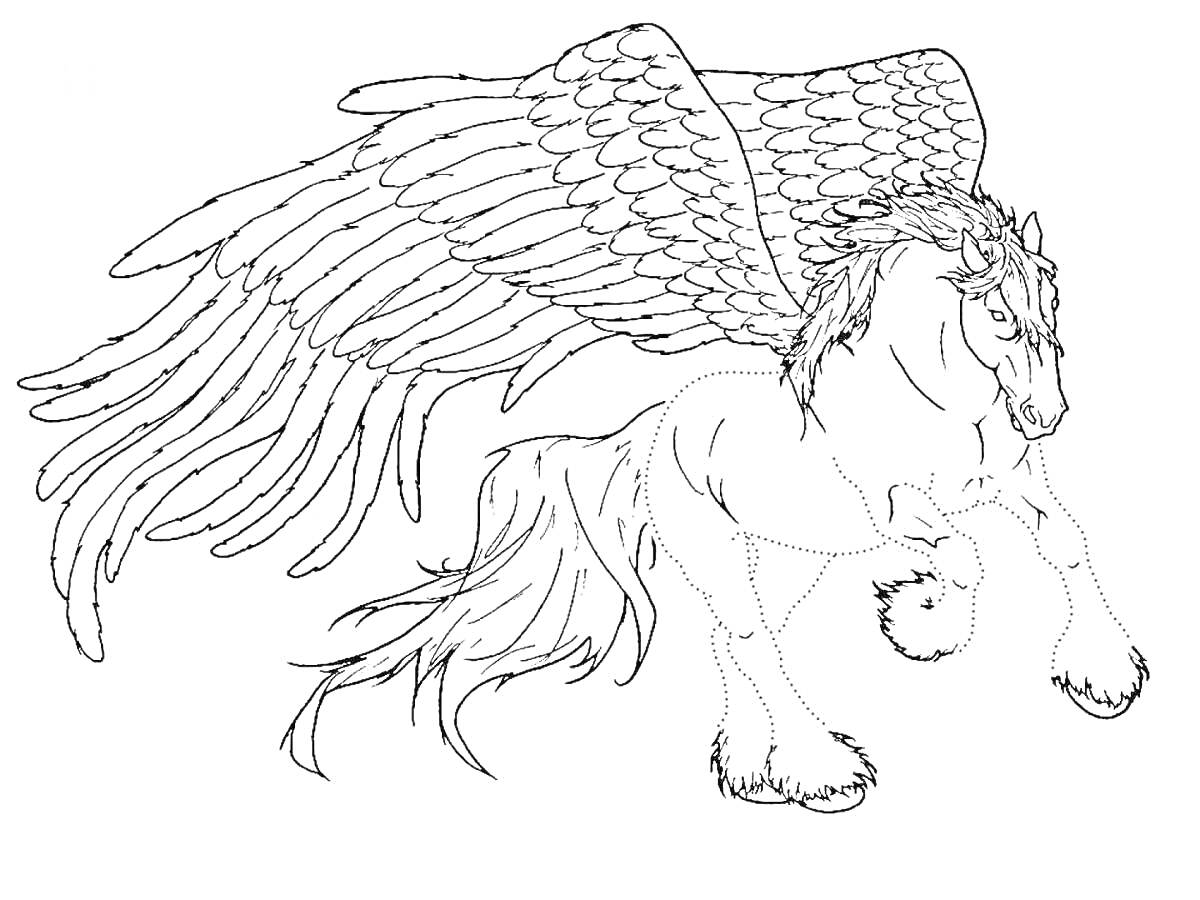 Раскраска Пегас с большими крыльями и густой гривой