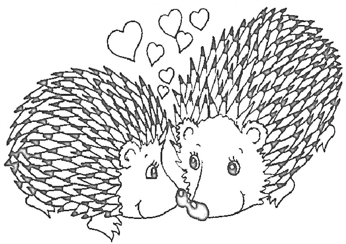 На раскраске изображено: Любовь, Пара, Лесные животные, Для детей, Еж, Животные, Сердца