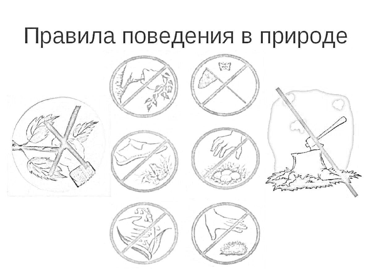 Раскраска Правила поведения в природе - не ломать ветки, не ломать деревья, не мусорить, не разжигать костер на природе, не срывать цветы, не шуметь и не тревожить животных, не ломать кустарники и траву, не ловить животных, не ловить рыбу.