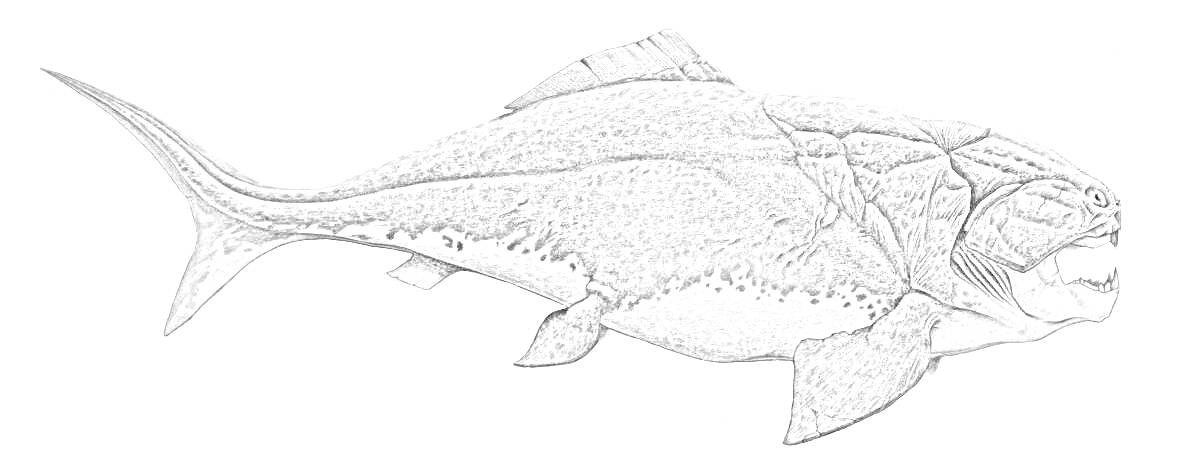 На раскраске изображено: Дунклеостей, Древняя рыба, Морская фауна, Морская жизнь